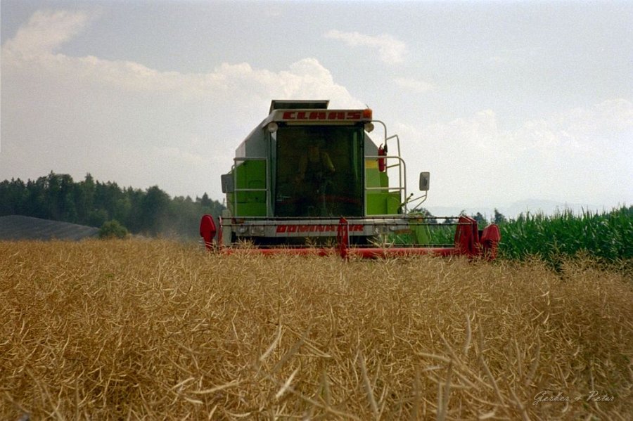 Claas Drescher 25